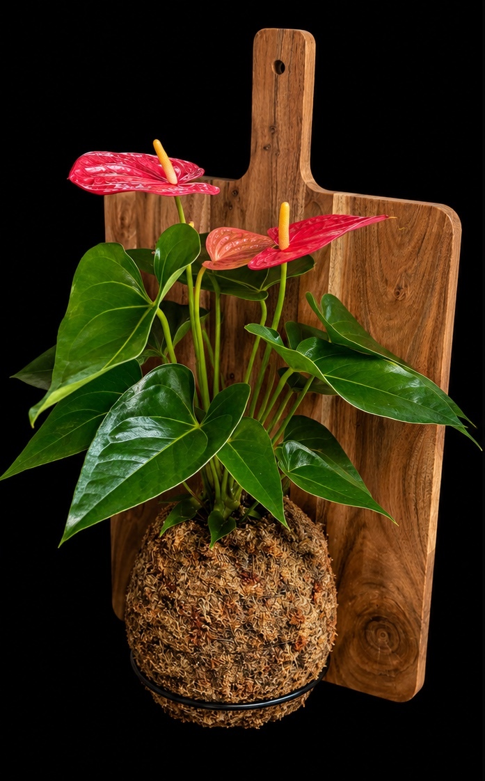 Acacia Wood Pink Anthurium — botanical art by April Stiles