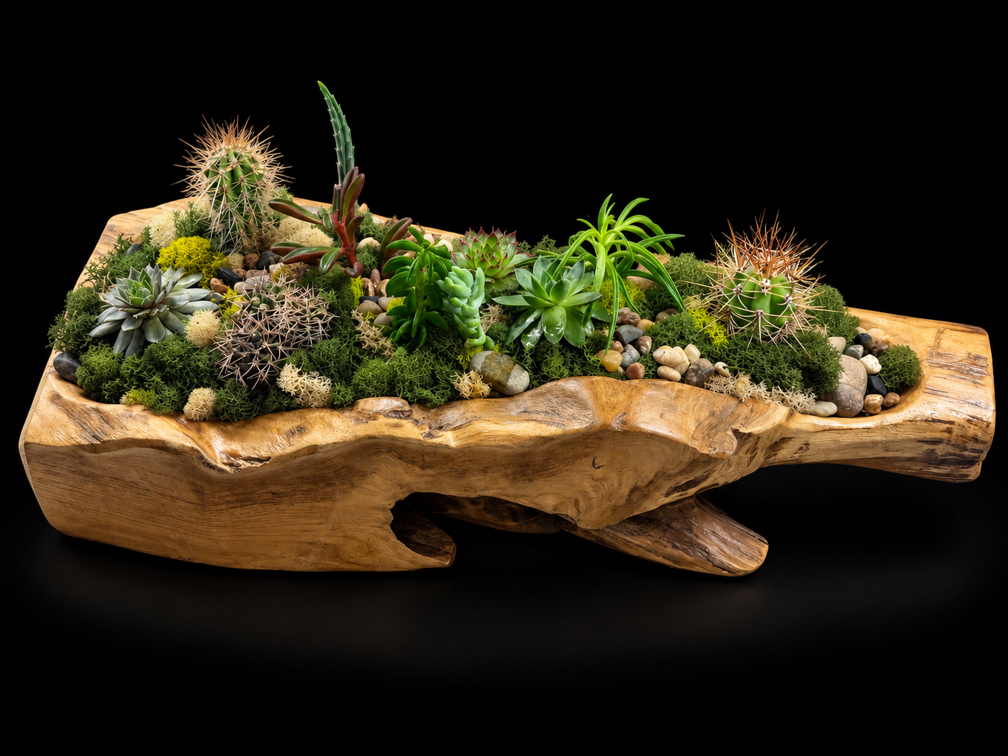 Teak Wood Cactus & Succulent Garden — botanical art by April Stiles