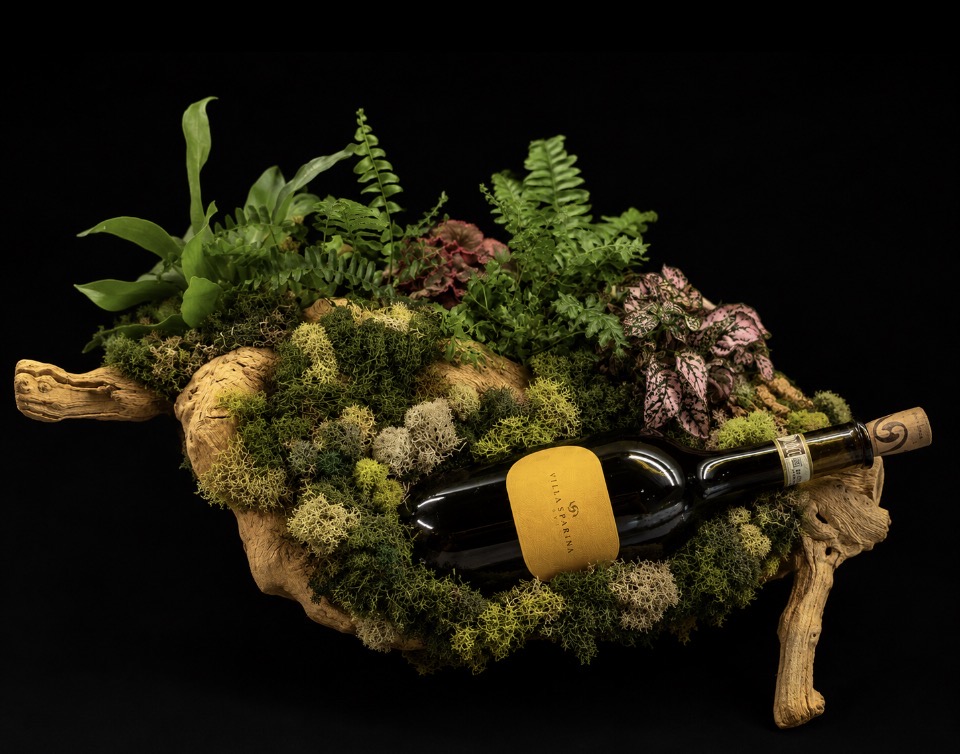 Grapevine Fern Centerpiece — botanical art by April Stiles