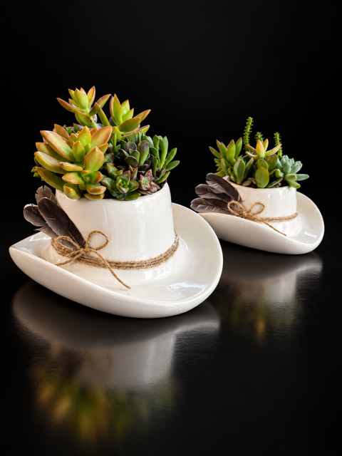 Cowboy Succulent Planters — botanical art by April Stiles