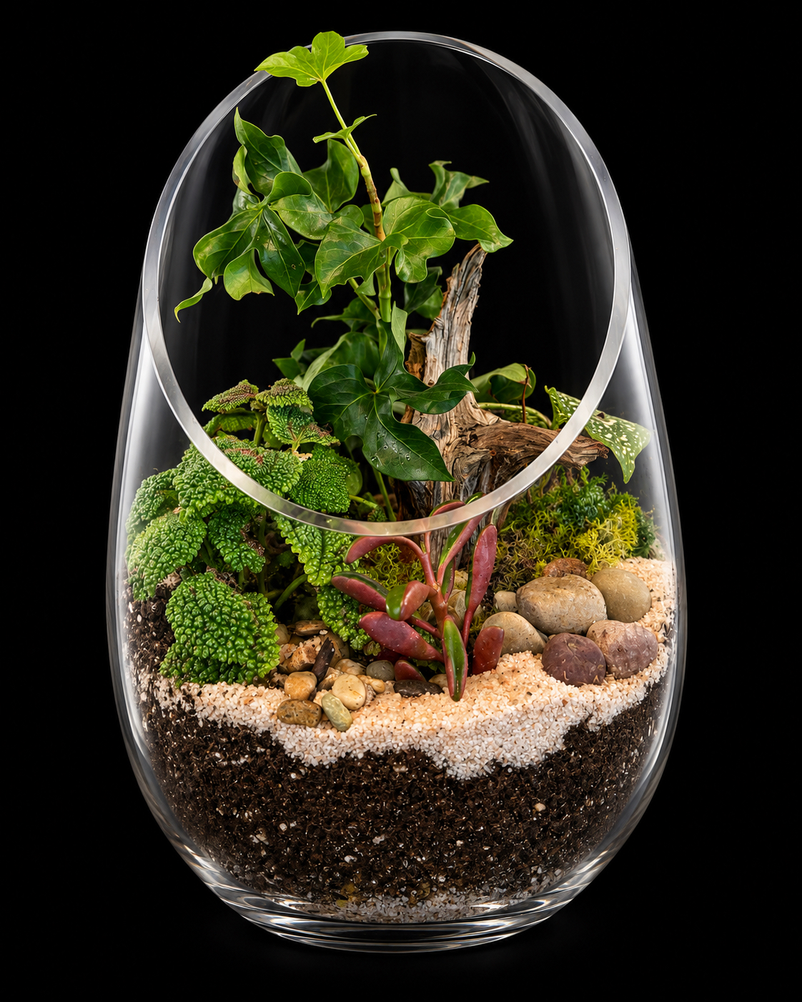 Ivy & Succulent Teardrop Terrarium — botanical art by April Stiles