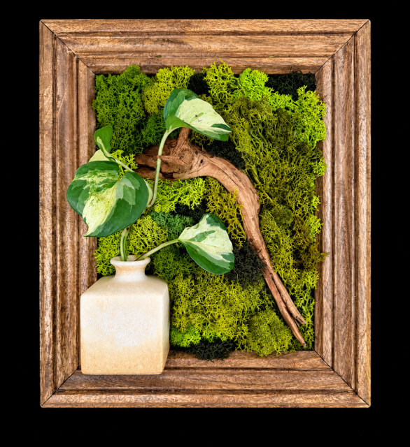Living Botanical Frame with Propagation Vase — botanical art by April Stiles