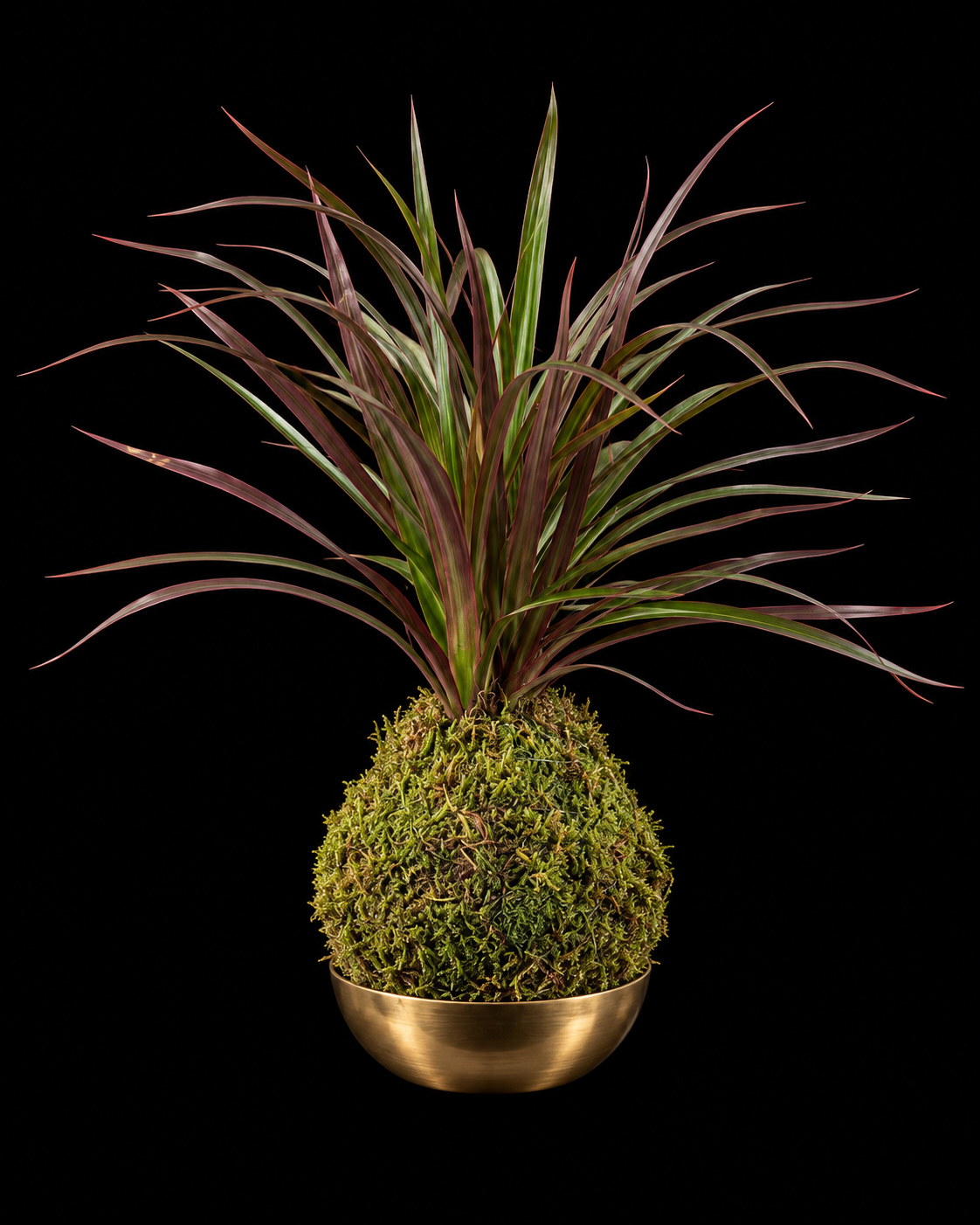 Dragon Tree in Moss Ball + Gold Bowl — botanical art by April Stiles